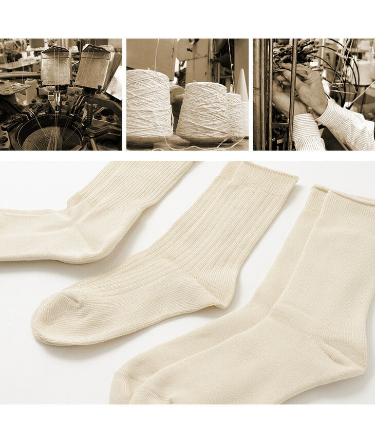 ROTOTO / R1123 Daily 3 Pack Socks